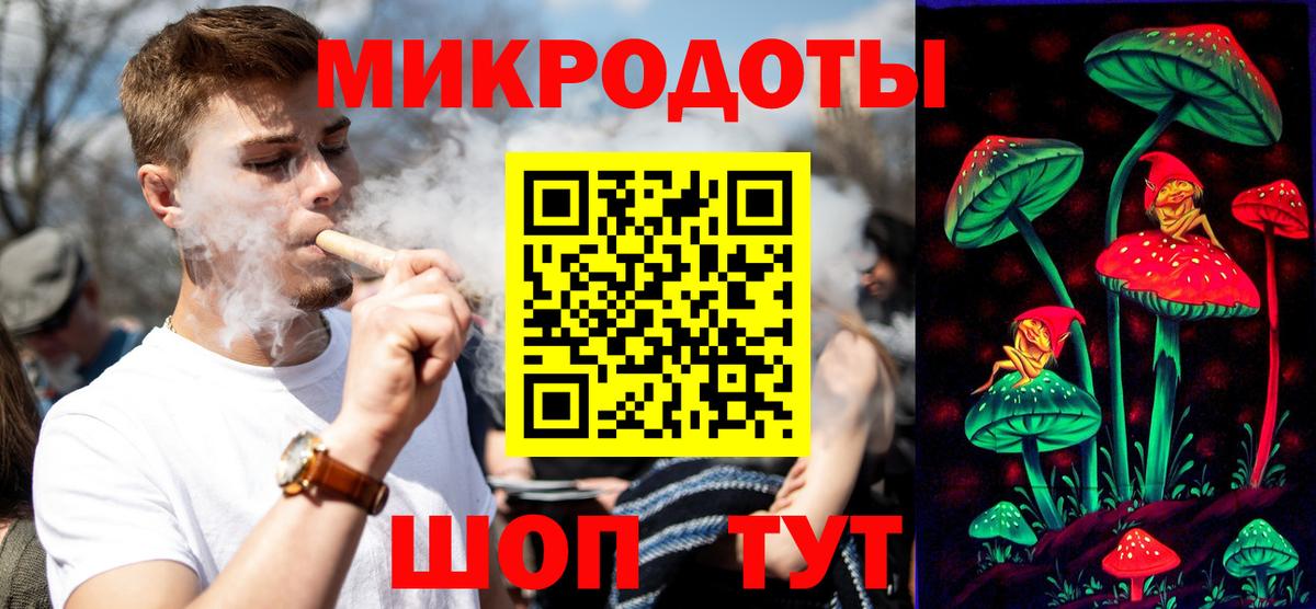 Галлюциногенные грибы Psilocybine cubensis Асбест