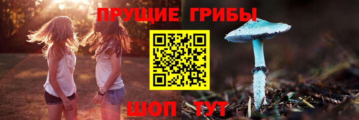 Асбест  Псилоцибиновые грибы мухоморы  Вход с VPN 
